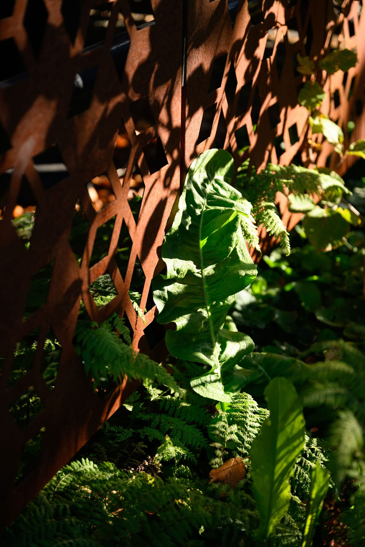 Upscale Accommodation in Orange, NSW - Yallungah Boutique Hotel