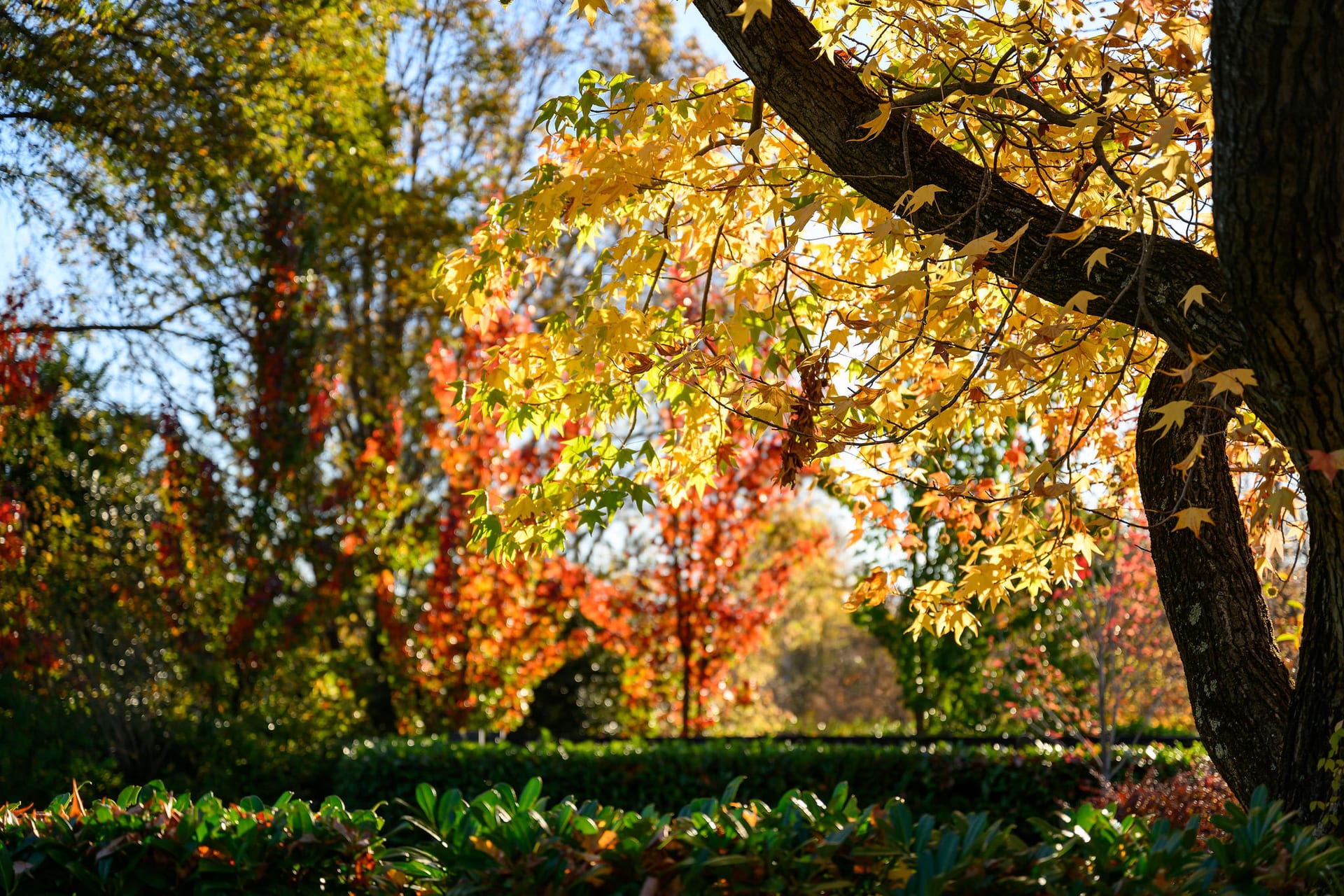Private gardens