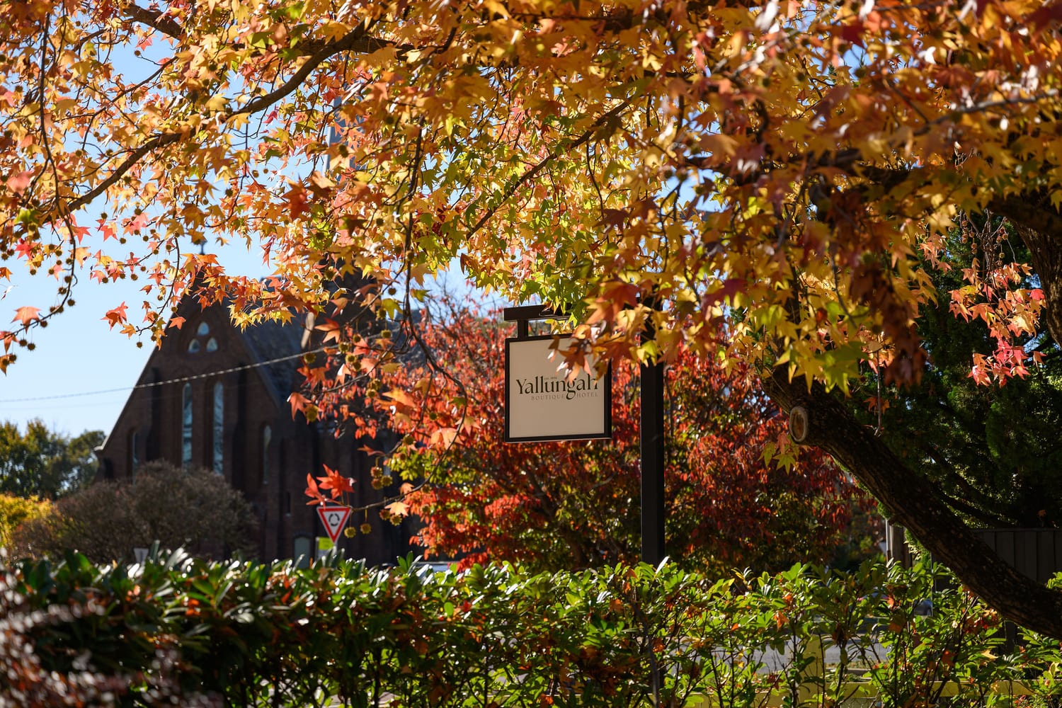 The changing seasons across the Orange wine region, NSW